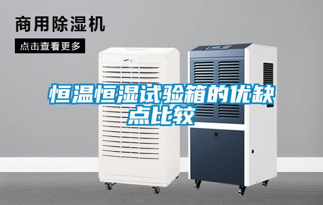 恒溫恒濕試驗箱的優(yōu)缺點(diǎn)比較