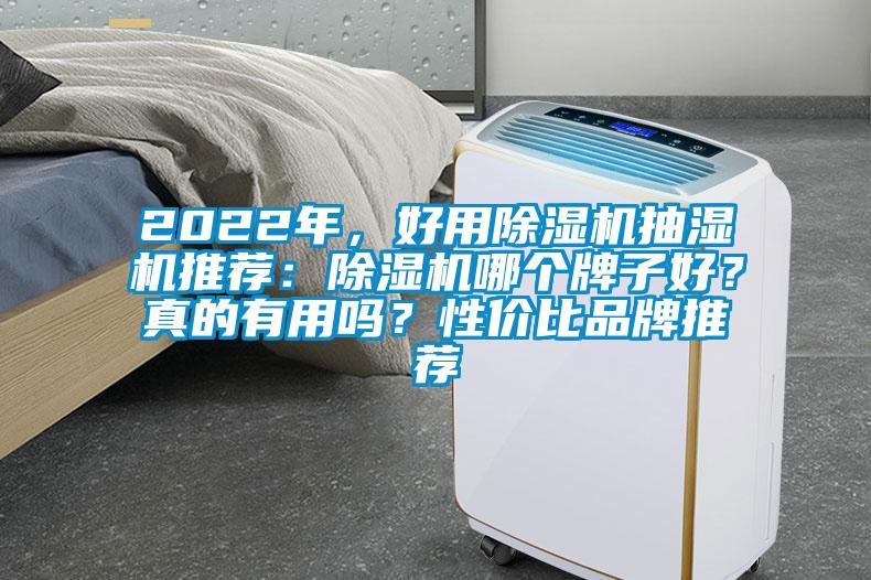 2022年，好用除濕機抽濕機推薦：除濕機哪個(gè)牌子好？真的有用嗎？性?xún)r(jià)比品牌推薦
