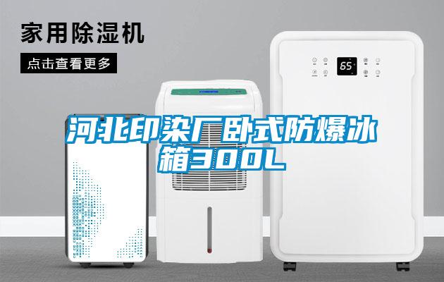 河北印染廠(chǎng)臥式防爆冰箱300L