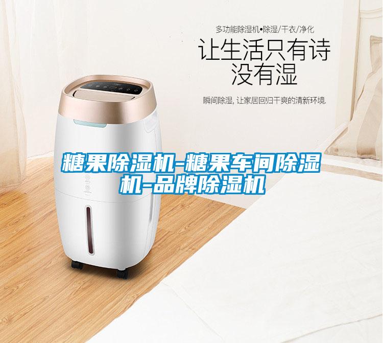 糖果除濕機-糖果車(chē)間除濕機-品牌除濕機