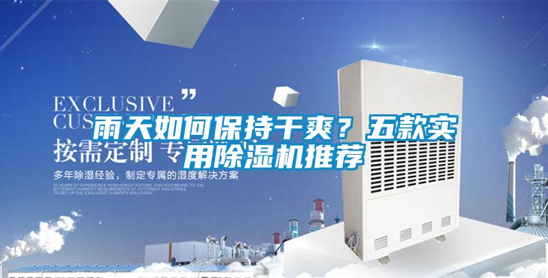 雨天如何保持干爽？五款實(shí)用除濕機推薦