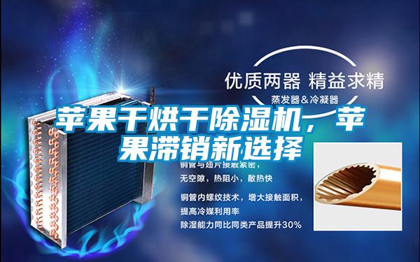蘋(píng)果干烘干除濕機，蘋(píng)果滯銷(xiāo)新選擇