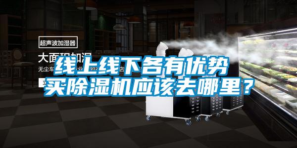 線(xiàn)上線(xiàn)下各有優(yōu)勢 買(mǎi)除濕機應該去哪里？