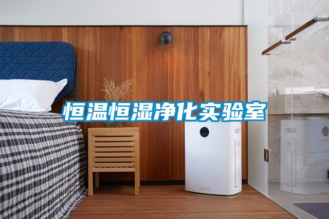 恒溫恒濕凈化實(shí)驗室