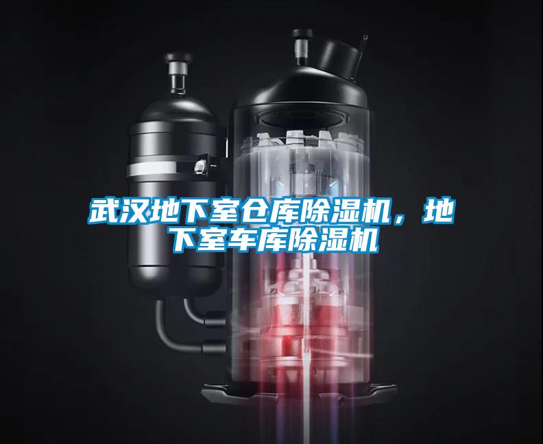 武漢地下室倉庫除濕機，地下室車(chē)庫除濕機