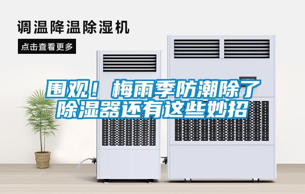 圍觀(guān)！梅雨季防潮除了除濕器還有這些妙招