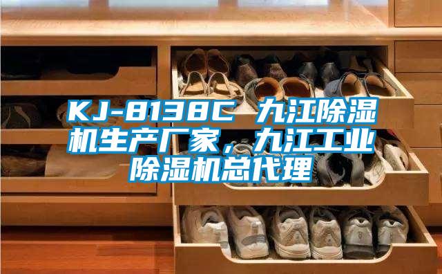 KJ-8138C 九江除濕機生產(chǎn)廠(chǎng)家，九江工業(yè)除濕機總代理