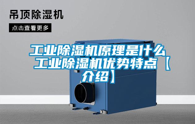 工業(yè)除濕機原理是什么 工業(yè)除濕機優(yōu)勢特點(diǎn)【介紹】