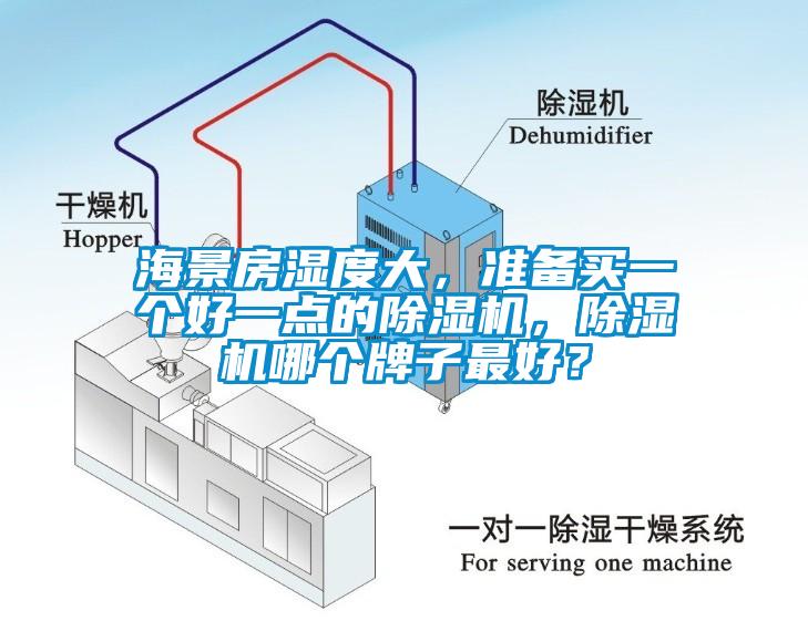 海景房濕度大，準備買(mǎi)一個(gè)好一點(diǎn)的除濕機，除濕機哪個(gè)牌子最好？