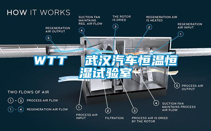 WTT  武漢汽車(chē)恒溫恒濕試驗室