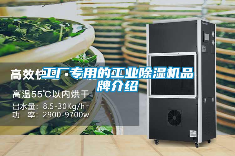 工廠(chǎng)專(zhuān)用的工業(yè)除濕機品牌介紹