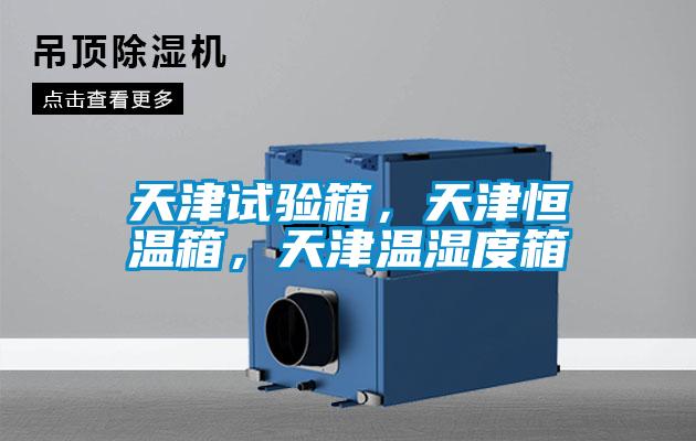 天津試驗箱，天津恒溫箱，天津溫濕度箱