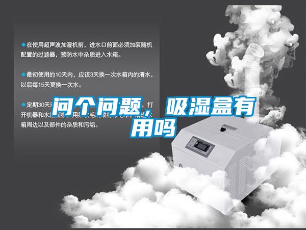 問(wèn)個(gè)問(wèn)題，吸濕盒有用嗎
