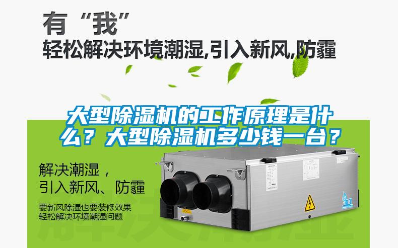 大型除濕機的工作原理是什么？大型除濕機多少錢(qián)一臺？