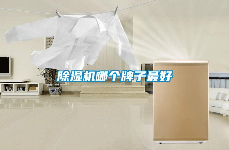 除濕機哪個(gè)牌子最好