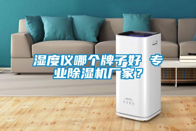 濕度儀哪個(gè)牌子好 專(zhuān)業(yè)除濕機廠(chǎng)家？