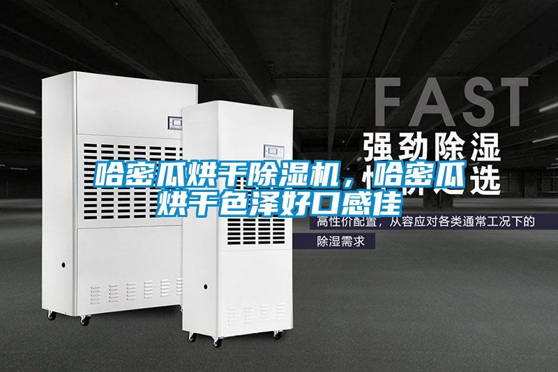 哈密瓜烘干除濕機，哈密瓜烘干色澤好口感佳