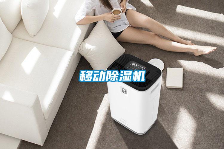 移動(dòng)除濕機
