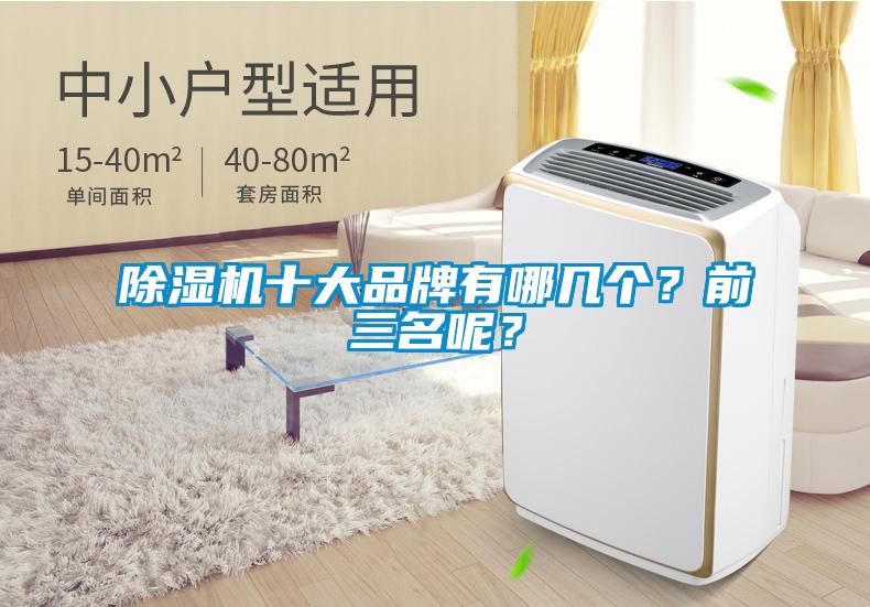 除濕機十大品牌有哪幾個(gè)？前三名呢？