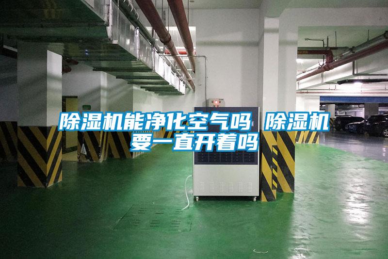 除濕機能凈化空氣嗎 除濕機要一直開(kāi)著(zhù)嗎
