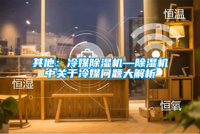 其他：冷媒除濕機—除濕機中關(guān)于冷媒問(wèn)題大解析