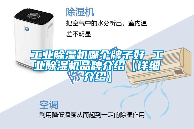 工業(yè)除濕機哪個(gè)牌子好 工業(yè)除濕機品牌介紹【詳細介紹】