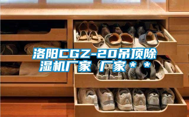 洛陽(yáng)CGZ-20吊頂除濕機廠(chǎng)家 廠(chǎng)家＊＊