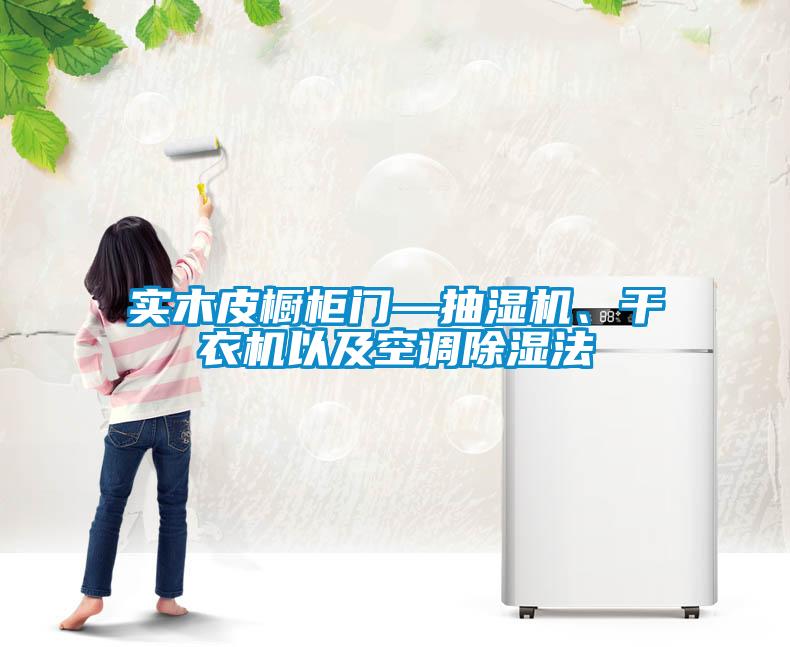 實(shí)木皮櫥柜門(mén)—抽濕機、干衣機以及空調除濕法