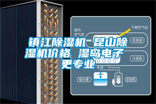 鎮江除濕機 昆山除濕機價(jià)格 濕島電子 更專(zhuān)業(yè)