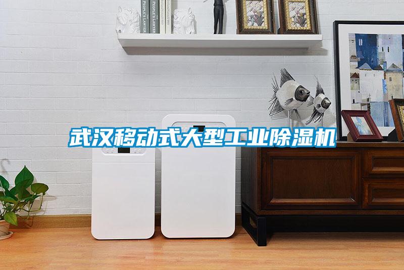 武漢移動(dòng)式大型工業(yè)除濕機