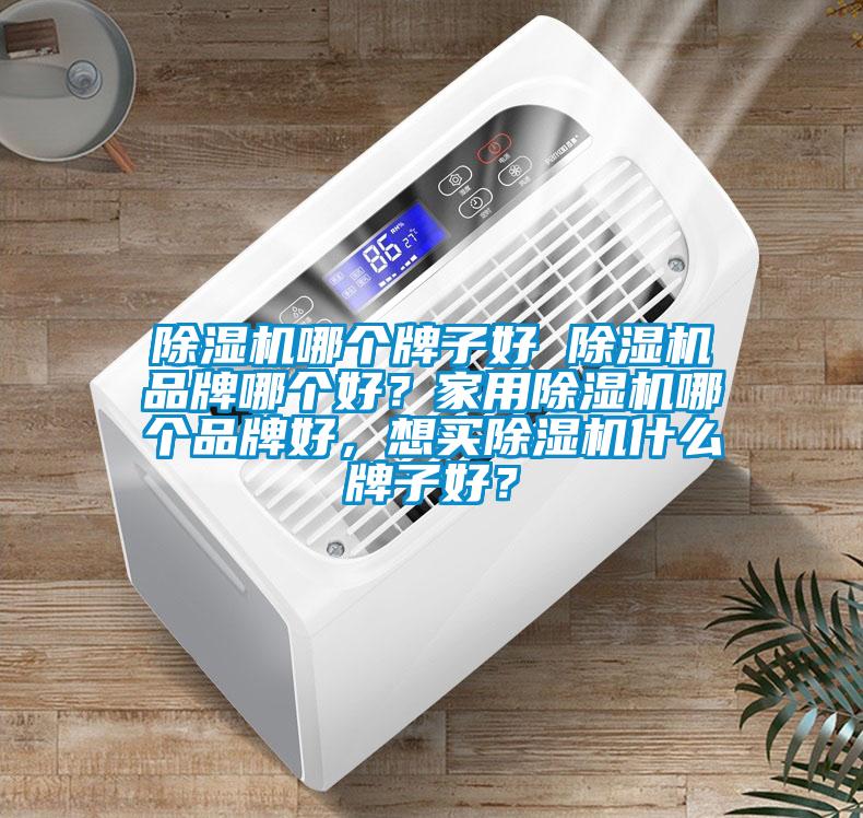 除濕機哪個(gè)牌子好 除濕機品牌哪個(gè)好？家用除濕機哪個(gè)品牌好，想買(mǎi)除濕機什么牌子好？