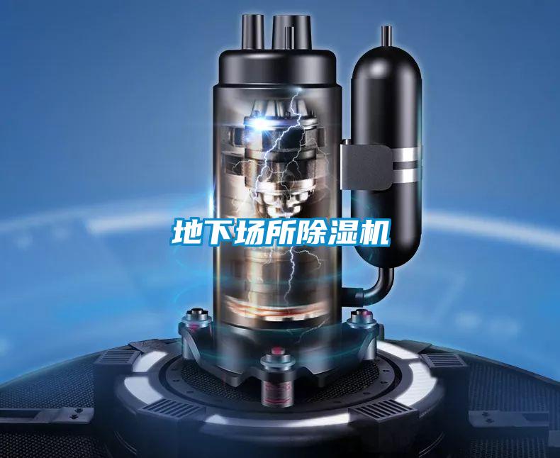 地下場(chǎng)所除濕機