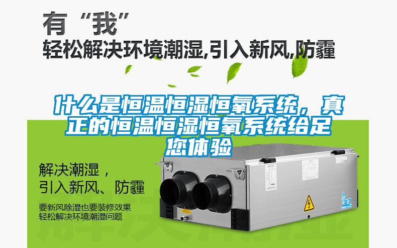 什么是恒溫恒濕恒氧系統，真正的恒溫恒濕恒氧系統給足您體驗