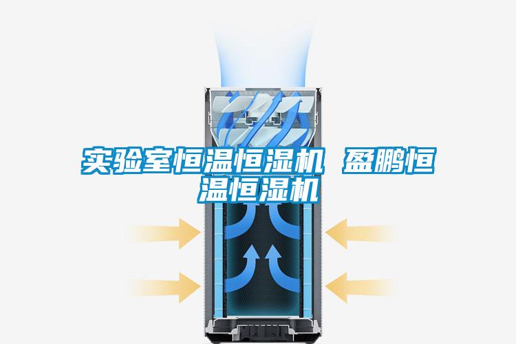 實(shí)驗室恒溫恒濕機 盈鵬恒溫恒濕機