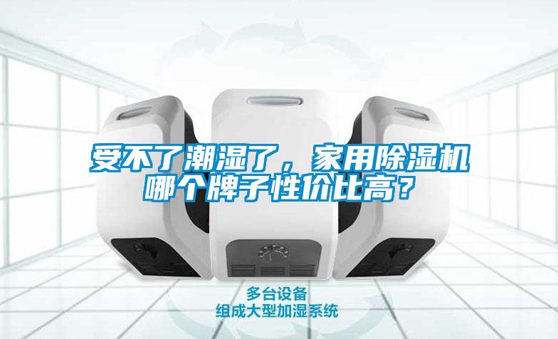 受不了潮濕了，家用除濕機哪個(gè)牌子性?xún)r(jià)比高？