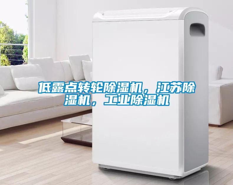 低露點(diǎn)轉輪除濕機，江蘇除濕機，工業(yè)除濕機