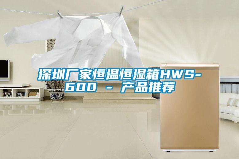 深圳廠(chǎng)家恒溫恒濕箱HWS-600 - 產(chǎn)品推薦