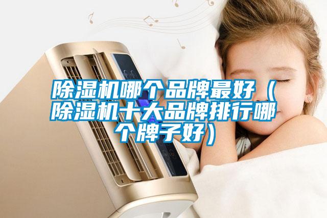 除濕機哪個(gè)品牌最好（除濕機十大品牌排行哪個(gè)牌子好）