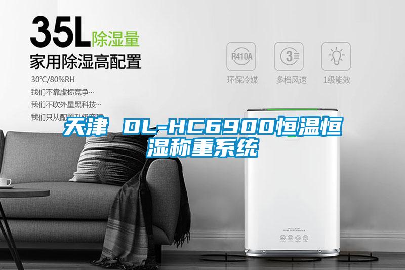 天津 DL-HC6900恒溫恒濕稱(chēng)重系統