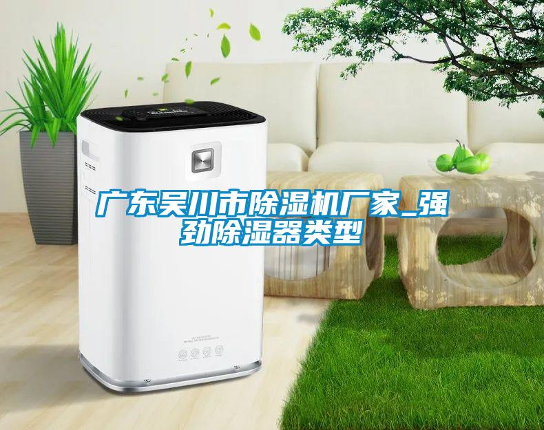 廣東吳川市除濕機廠(chǎng)家_強勁除濕器類(lèi)型