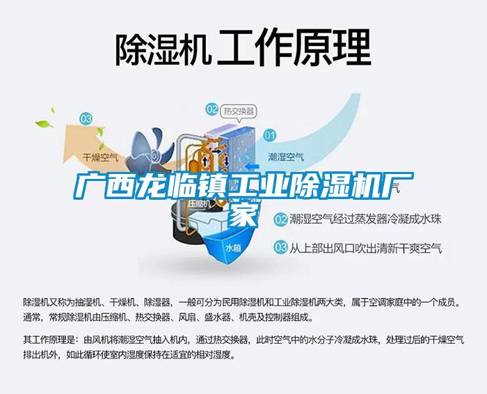 廣西龍臨鎮工業(yè)除濕機廠(chǎng)家