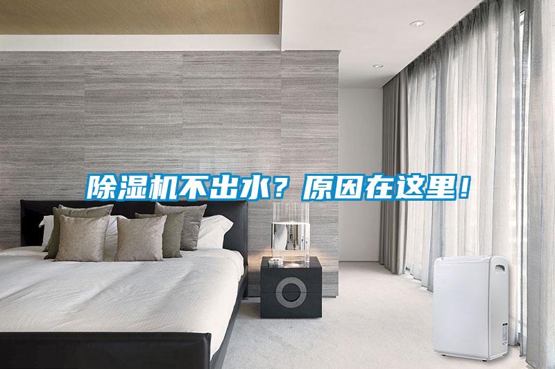 除濕機不出水？原因在這里！