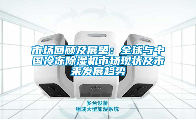 市場(chǎng)回顧及展望：全球與中國冷凍除濕機市場(chǎng)現狀及未來(lái)發(fā)展趨勢