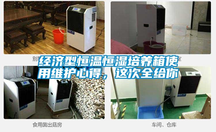經(jīng)濟型恒溫恒濕培養箱使用維護心得，這次全給你