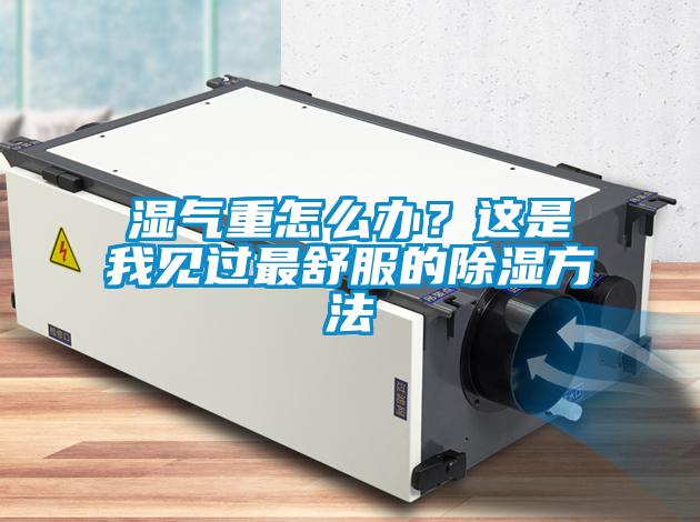濕氣重怎么辦？這是我見(jiàn)過(guò)最舒服的除濕方法