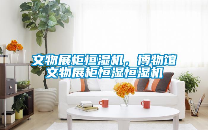 文物展柜恒濕機，博物館文物展柜恒濕恒濕機