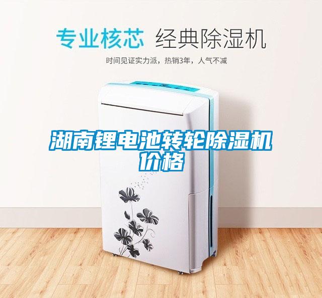 湖南鋰電池轉輪除濕機價(jià)格