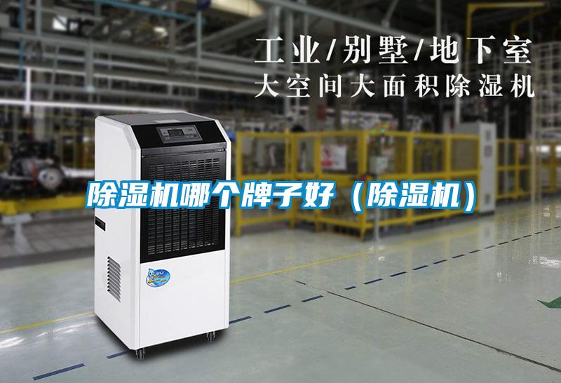 除濕機哪個(gè)牌子好（除濕機）