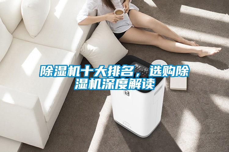 除濕機十大排名，選購除濕機深度解讀