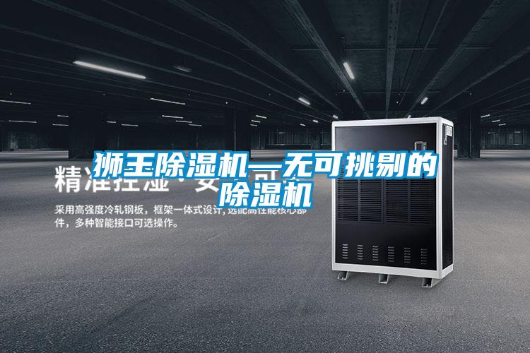 獅王除濕機—無(wú)可挑剔的除濕機